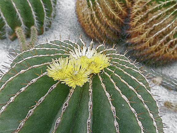 芦屋プラン株式会社 七夕（たなばた）2 Copilot